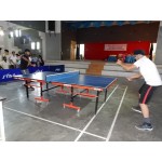 TABLE TENNIS