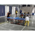 TABLE TENNIS